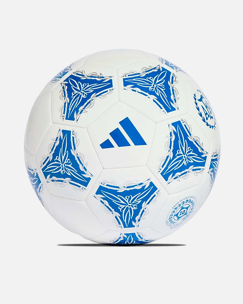 Balón Asociación de Fútbol Argentino