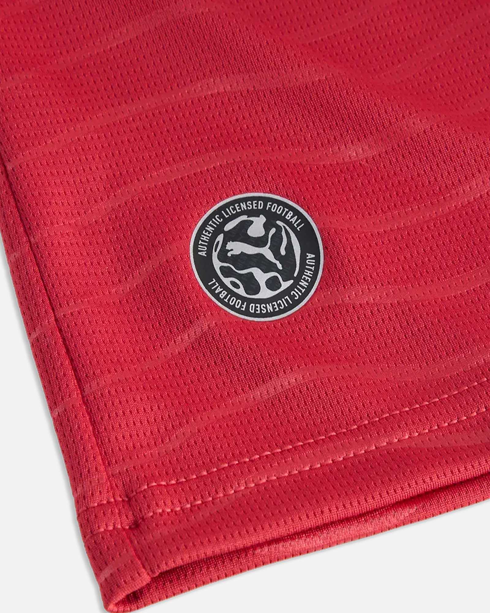 Camiseta de manga larga 1ª Portugal Mundial 2026 - Fútbol Factory